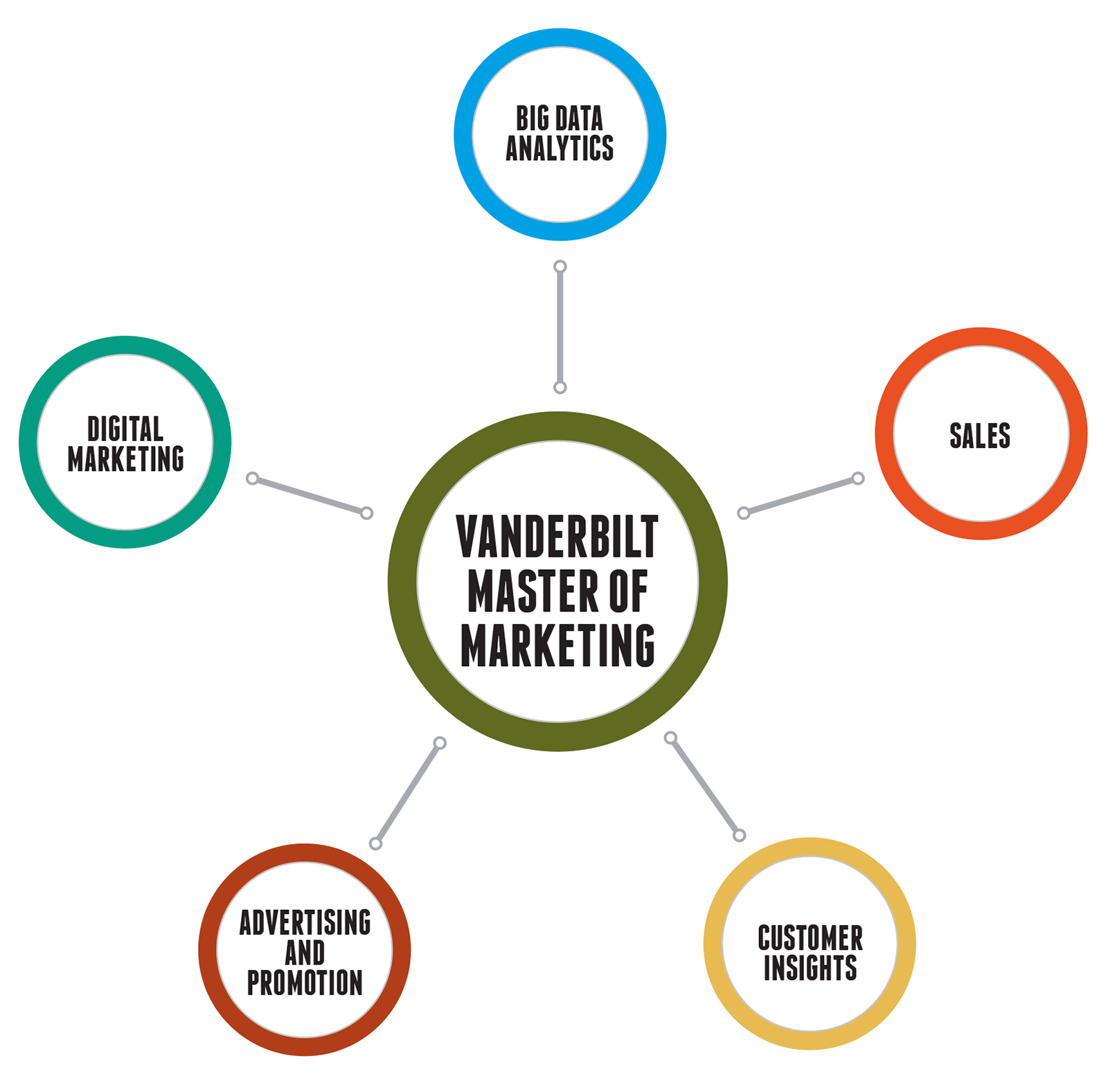 Master of Marketing Career Paths Graphic