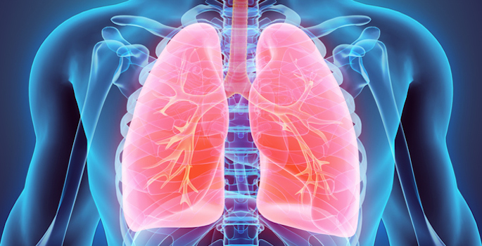 x-ray of chest with lungs highlighted in red