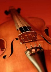 Fiddle_closeup_sm