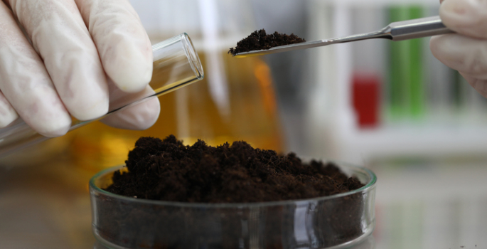 soil-microorganism