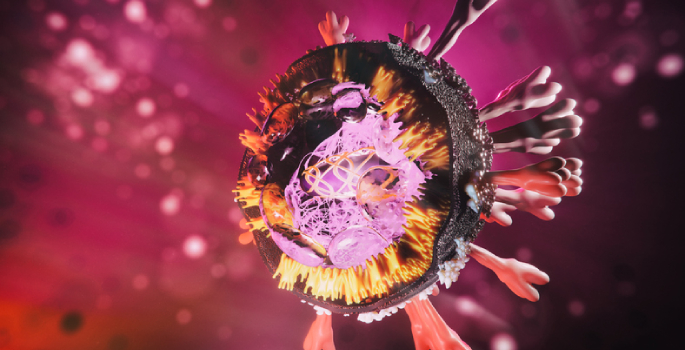coronavirus