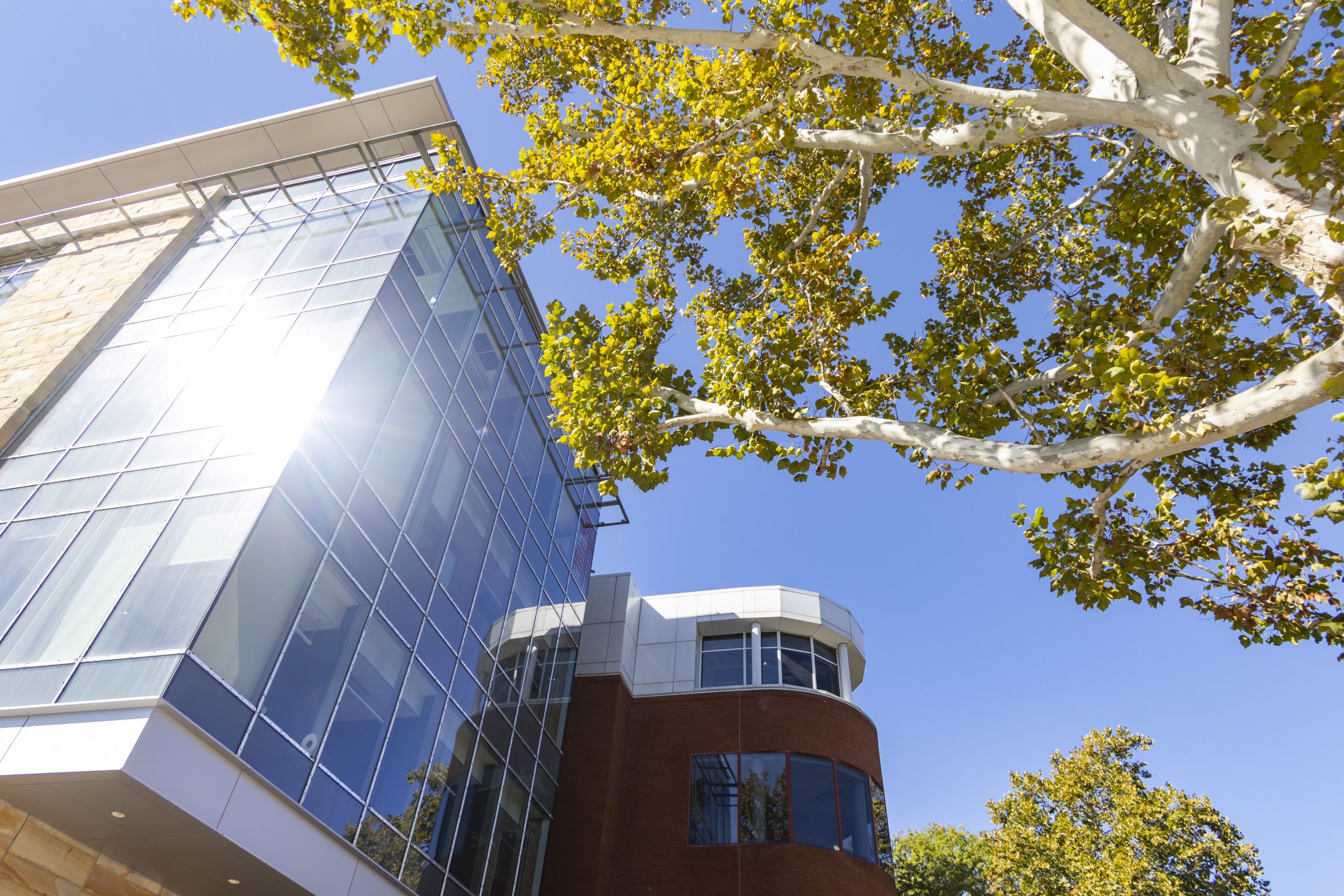 Owen School of Management